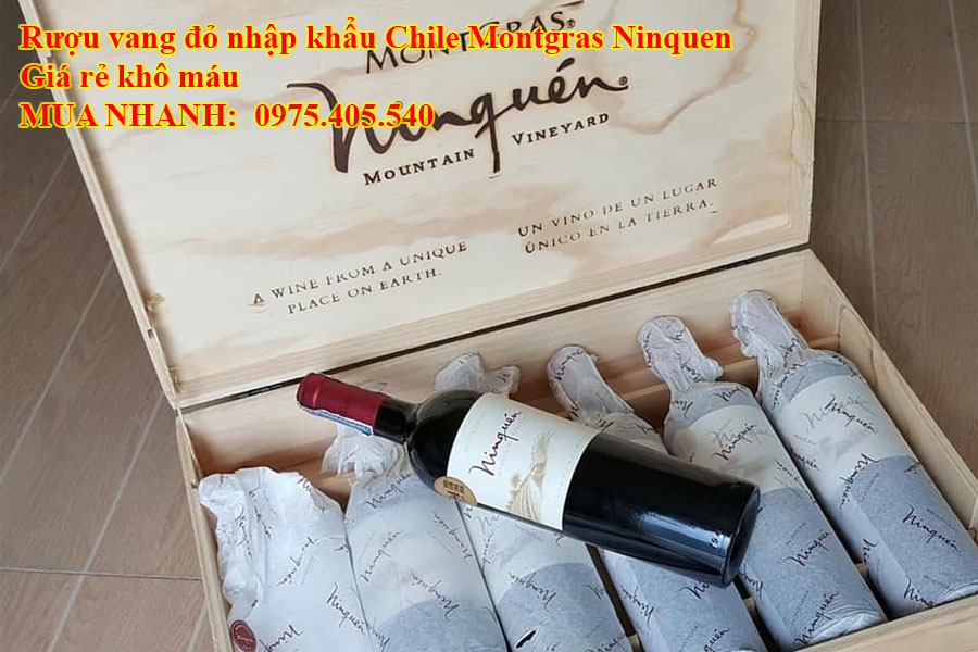 Rượu vang đỏ nhập khẩu Chile Montgras Ninquen Giá rẻ khô máu 