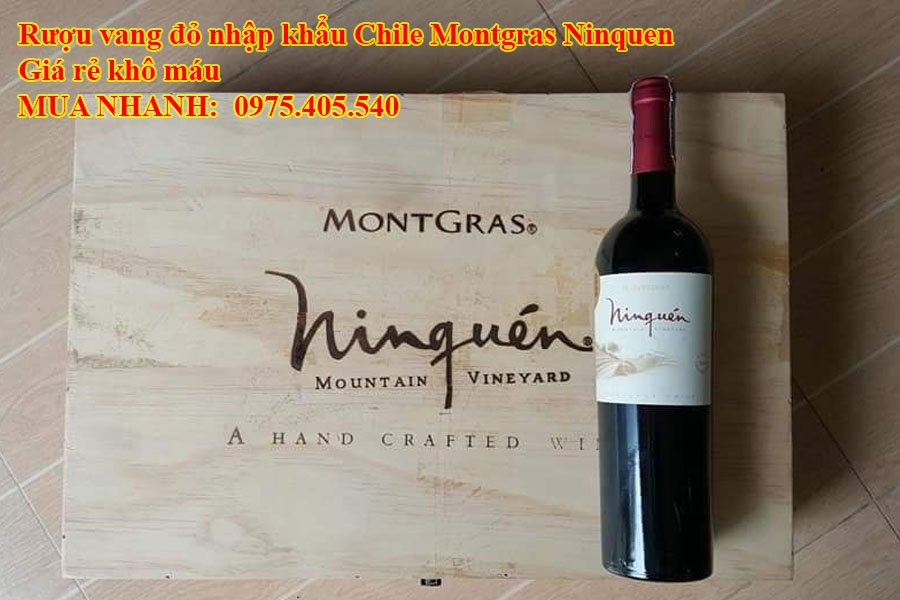 Rượu vang đỏ nhập khẩu Chile Montgras Ninquen Giá rẻ khô máu 