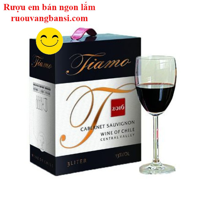 Rượu vang đỏ nhập khẩu Chile Tiamo Cabernet Hộp 3L 13%