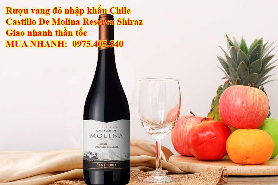 Rượu vang đỏ nhập khẩu Chile Castillo De Molina Reserva Shiraz Giao nhanh thần tốc