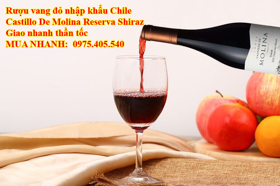 Rượu vang đỏ nhập khẩu Chile Castillo De Molina Reserva Shiraz Giao nhanh thần tốc 