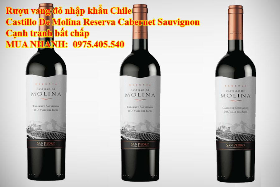 Rượu vang đỏ nhập khẩu Chile Castillo De Molina Reserva Cabernet Sauvignon Cạnh tranh bất chấp