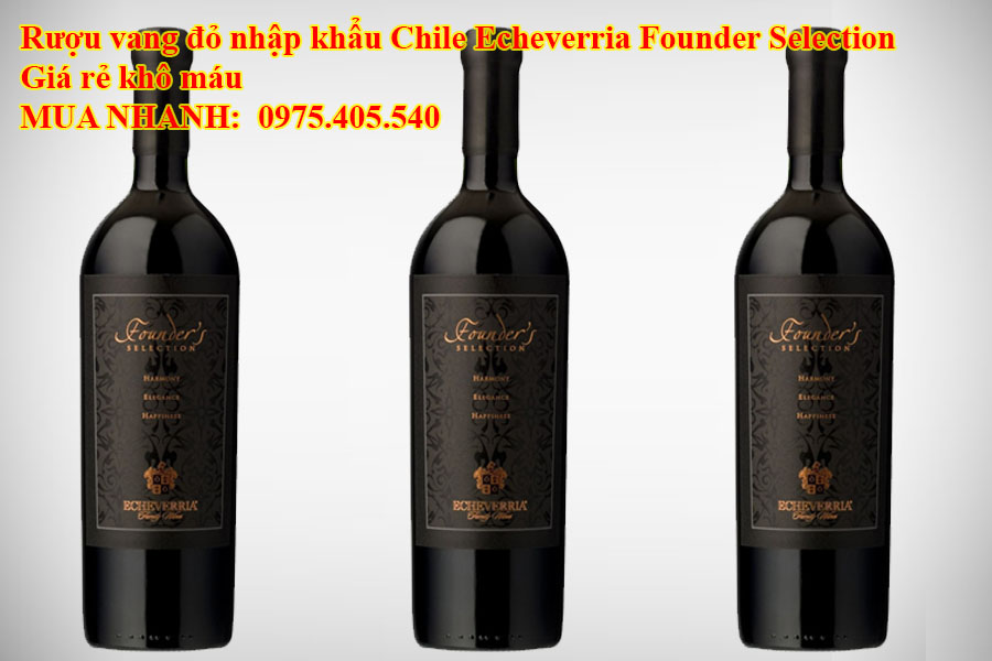 Rượu vang đỏ nhập khẩu Chile Echeverria Founder Selection Giá rẻ khô máu 