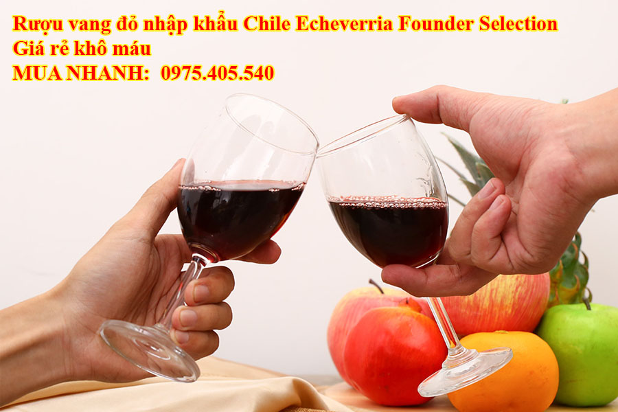 Rượu vang đỏ nhập khẩu Chile Echeverria Founder Selection Giá rẻ khô máu 