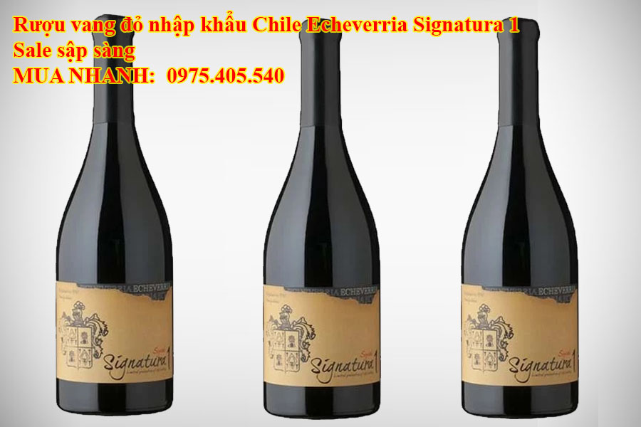 Rượu vang đỏ nhập khẩu Chile Echeverria Signatura 1 Sale sập sàng 