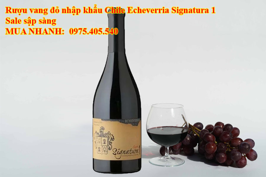 Rượu vang đỏ nhập khẩu Chile Echeverria Signatura 1 Sale sập sàng 