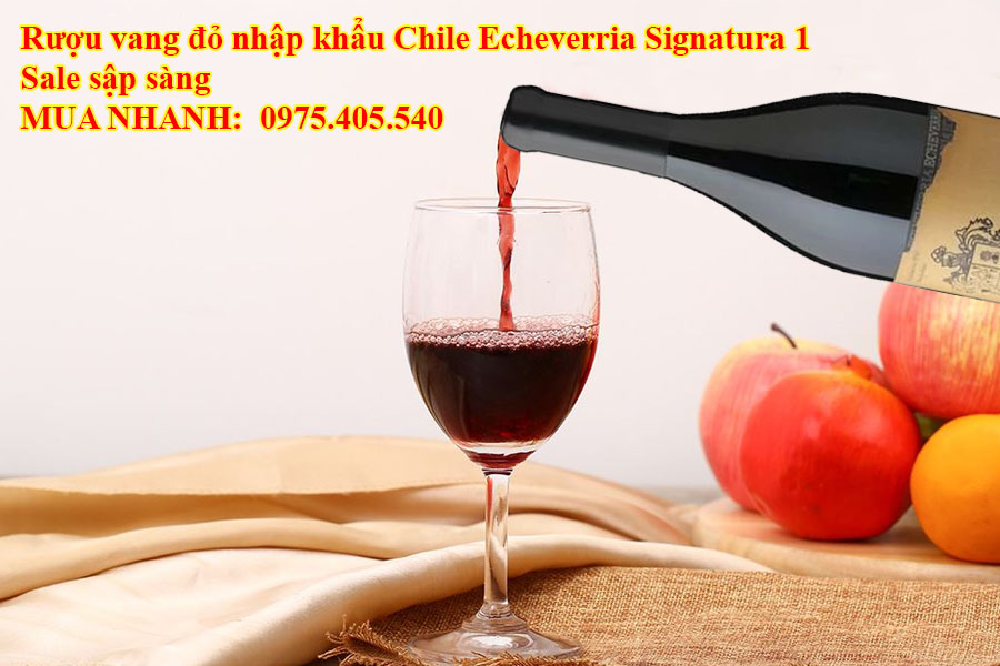 Rượu vang đỏ nhập khẩu Chile Echeverria Signatura 1 Sale sập sàng 