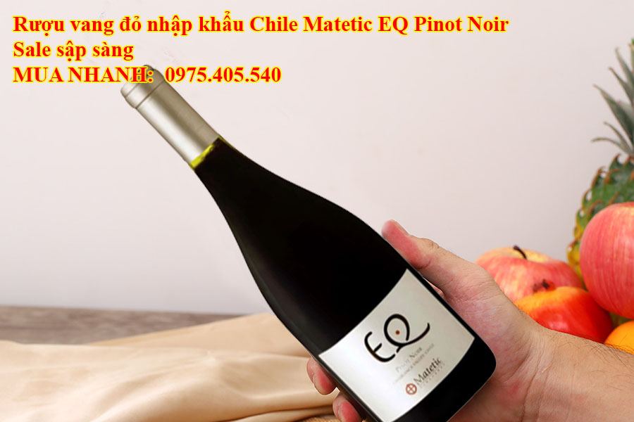 Rượu vang đỏ nhập khẩu Chile Matetic EQ Pinot Noir Sale sập sàng 