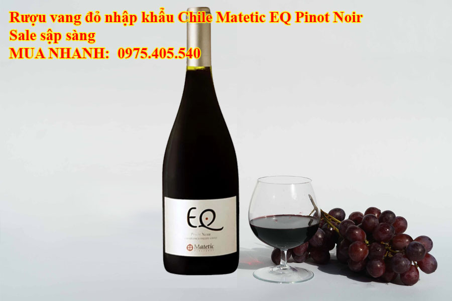 Rượu vang đỏ nhập khẩu Chile Matetic EQ Pinot Noir Sale sập sàng 