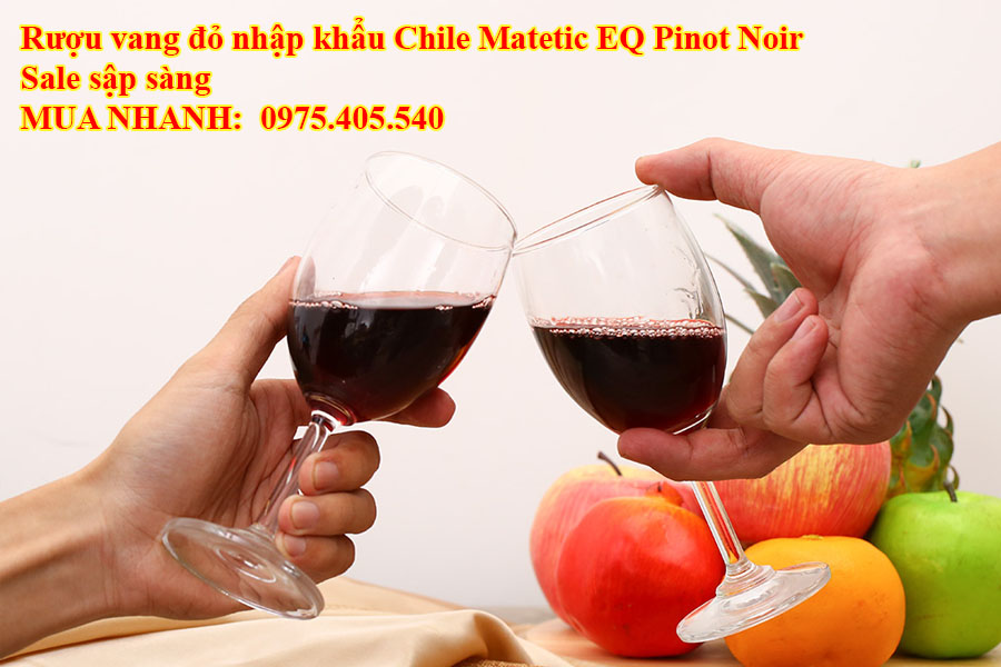 Rượu vang đỏ nhập khẩu Chile Matetic EQ Pinot Noir Sale sập sàng 