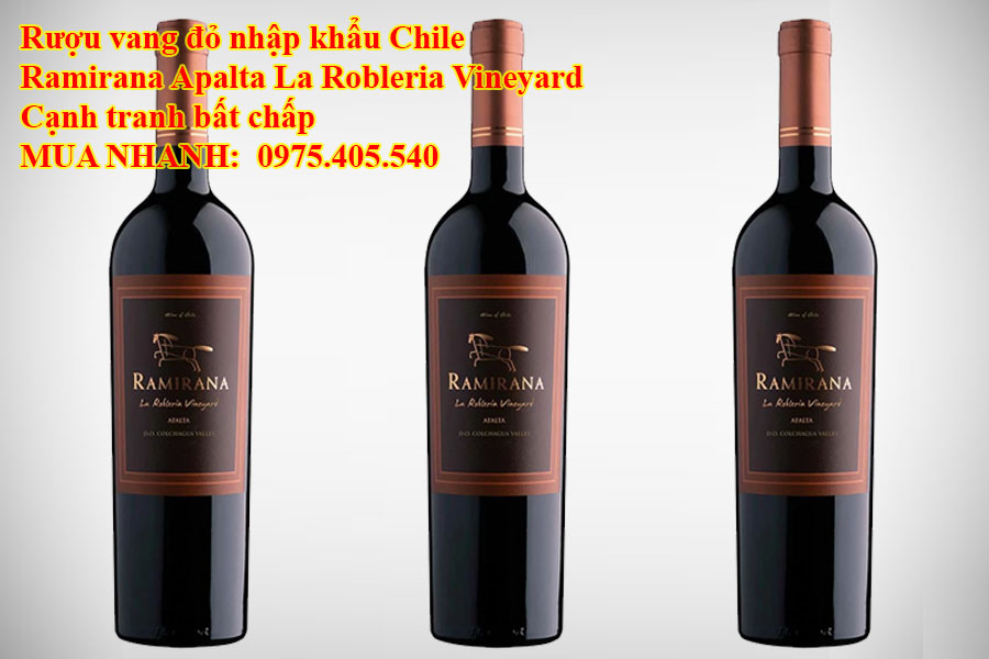 Rượu vang đỏ nhập khẩu Chile Ramirana Apalta La Robleria Vineyard Cạnh tranh bất chấp