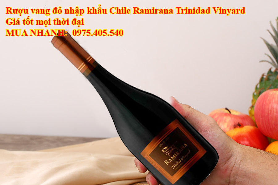 Rượu vang đỏ nhập khẩu Chile Ramirana Trinidad Vinyard Giá tốt mọi thời đại