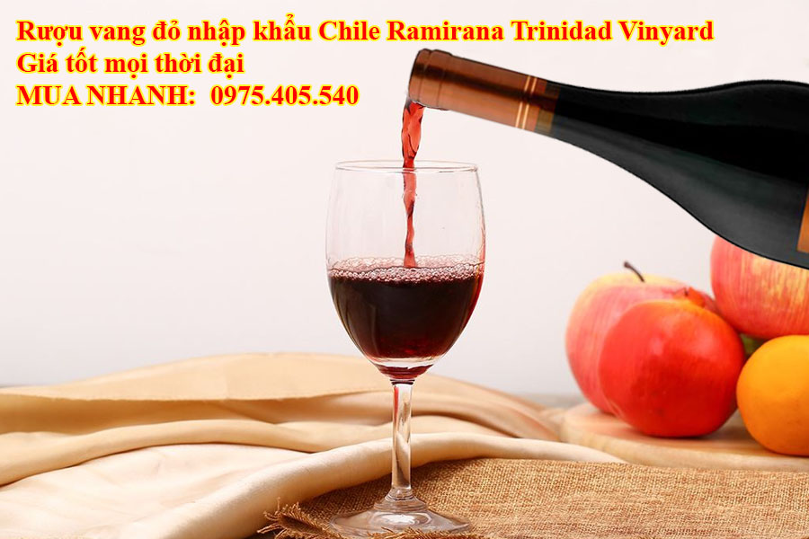 Rượu vang đỏ nhập khẩu Chile Ramirana Trinidad Vinyard Giá tốt mọi thời đại