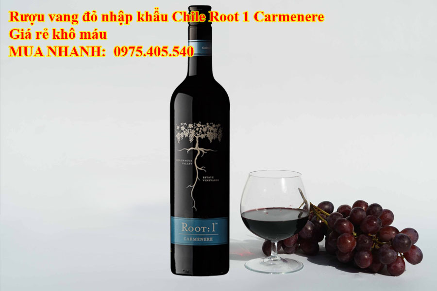 Rượu vang đỏ nhập khẩu Chile Root 1 Carmenere Giá rẻ khô máu 