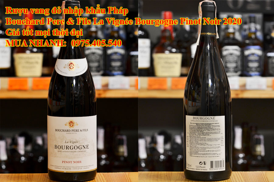 Rượu vang đỏ nhập khẩu Pháp Bouchard Pere & Fils La Vignée Bourgogne Pinot Noir 2020 Giá tốt mọi thời đại  