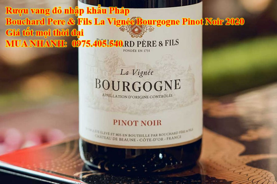 Rượu vang đỏ nhập khẩu Pháp Bouchard Pere & Fils La Vignée Bourgogne Pinot Noir 2020 Giá tốt mọi thời đại  