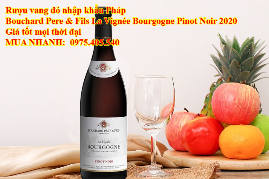 Rượu vang đỏ nhập khẩu Pháp Bouchard Pere & Fils La Vignée Bourgogne Pinot Noir 2020 Giá tốt mọi thời đại  