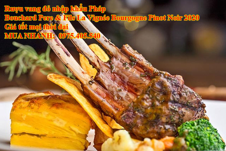 Rượu vang đỏ nhập khẩu Pháp Bouchard Pere & Fils La Vignée Bourgogne Pinot Noir 2020 Giá tốt mọi thời đại  