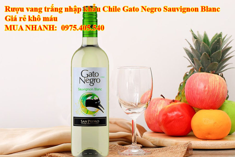 Rượu vang trắng nhập khẩu Chile Gato Negro Sauvignon Blanc Giá rẻ khô máu 