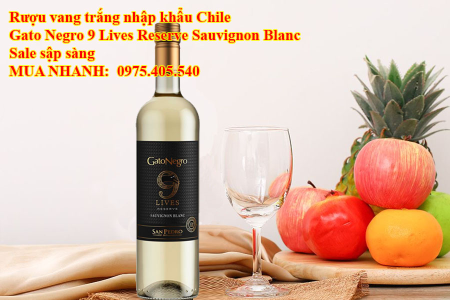 Rượu vang trắng nhập khẩu Chile Gato Negro 9 Lives Reserve Sauvignon Blanc Sale sập sàng 