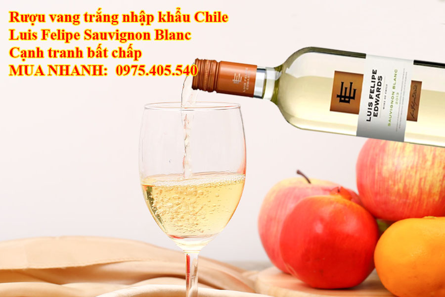 Rượu vang trắng nhập khẩu Chile Luis Felipe Sauvignon Blanc Cạnh tranh bất chấp