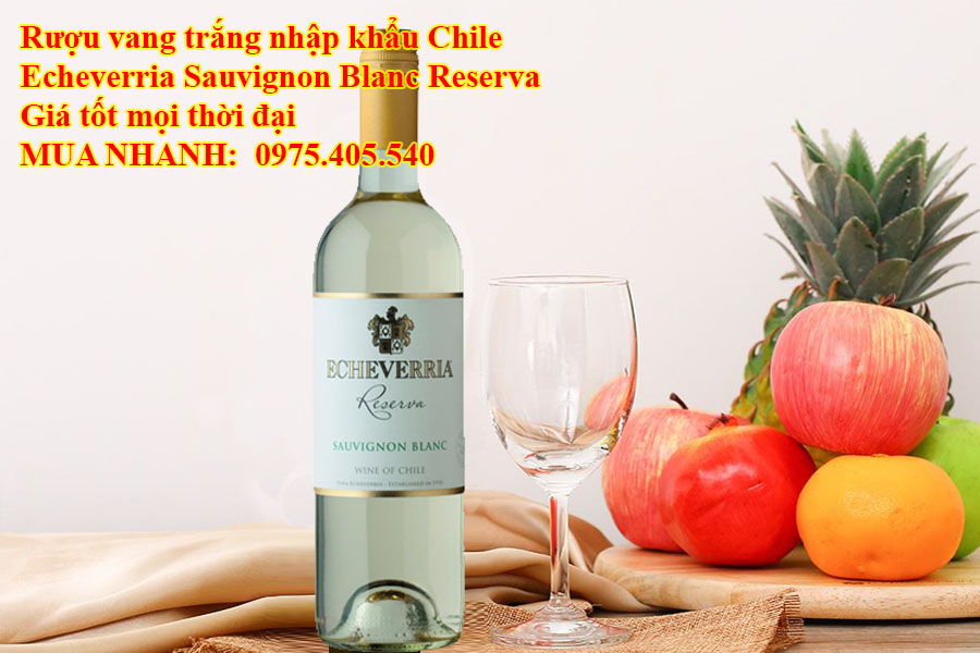 Rượu vang trắng nhập khẩu Chile Echeverria Sauvignon Blanc Reserva Giá tốt mọi thời đại  