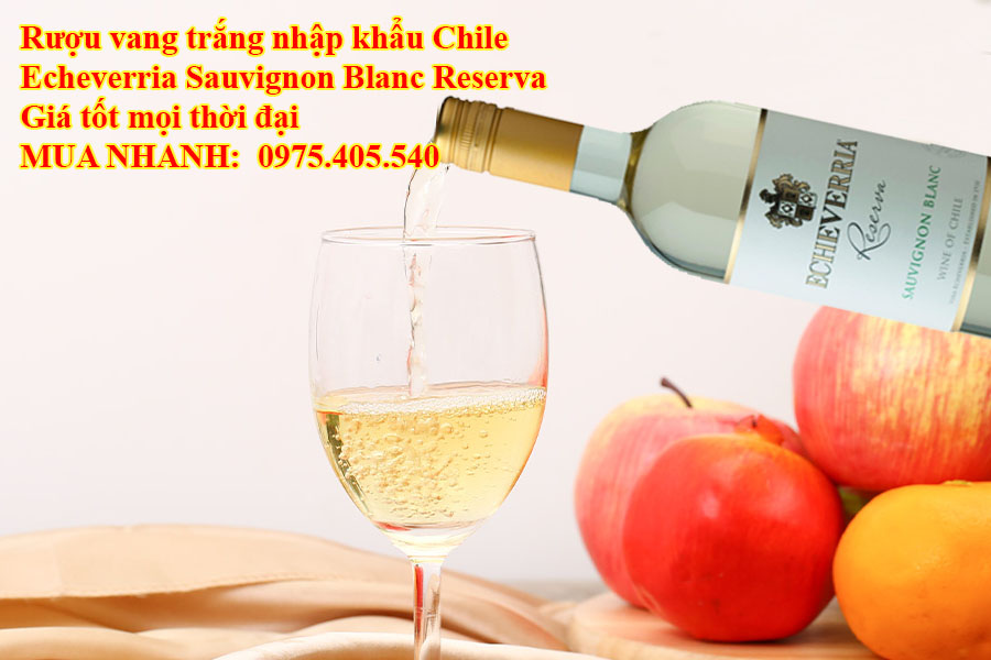 Rượu vang trắng nhập khẩu Chile Echeverria Sauvignon Blanc Reserva Giá tốt mọi thời đại  