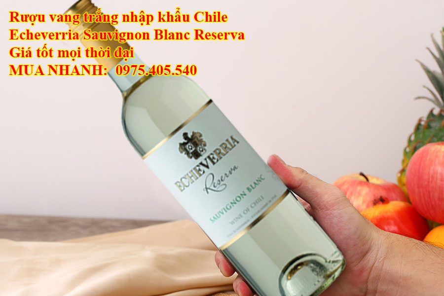 Rượu vang trắng nhập khẩu Chile Echeverria Sauvignon Blanc Reserva Giá tốt mọi thời đại  