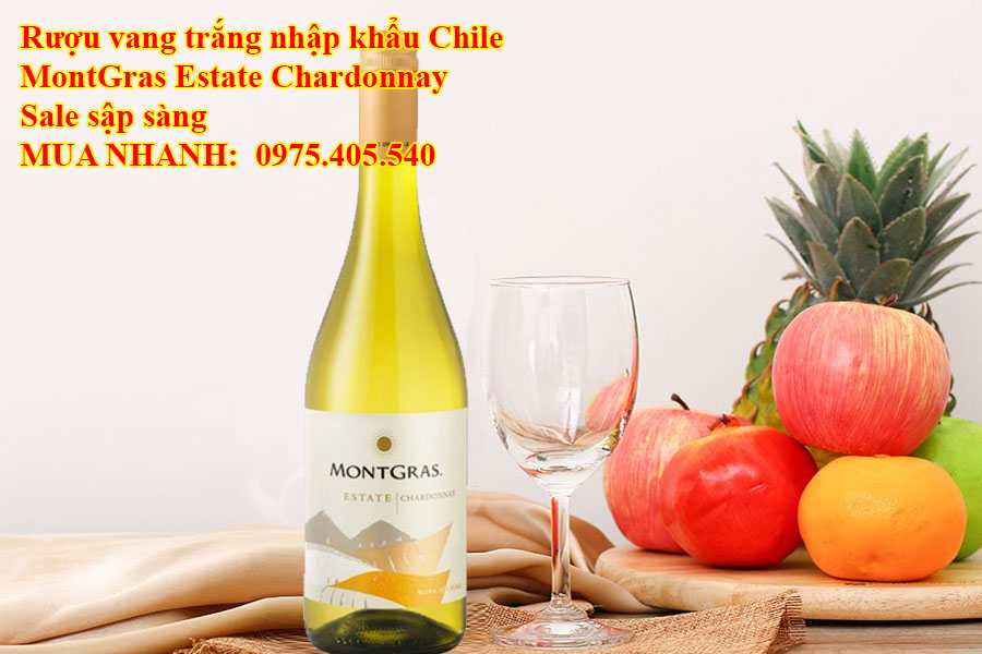 Rượu vang trắng nhập khẩu Chile MontGras Estate Chardonnay Sale sập sàng 