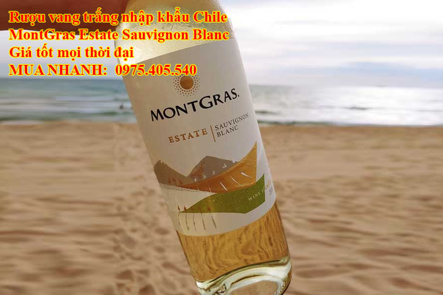 Rượu vang trắng nhập khẩu Chile MontGras Estate Sauvignon Blanc Giá tốt mọi thời đại 