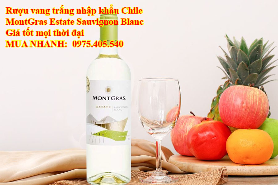 Rượu vang trắng nhập khẩu Chile MontGras Estate Sauvignon Blanc Giá tốt mọi thời đại 