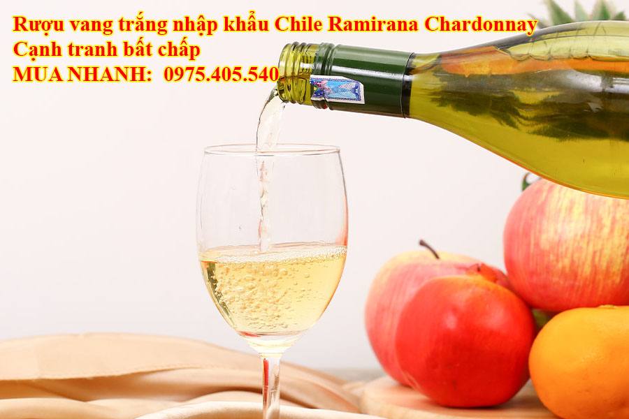 Rượu vang trắng nhập khẩu Chile Ramirana Chardonnay Cạnh tranh bất chấp