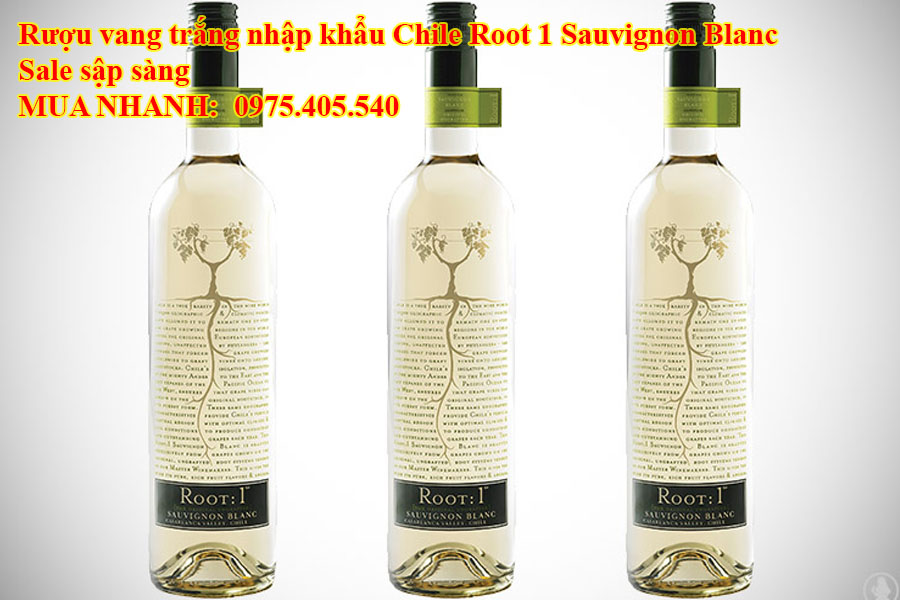 Rượu vang trắng nhập khẩu Chile Root 1 Sauvignon Blanc Sale sập sàng 