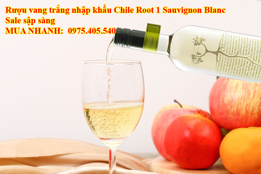 Rượu vang trắng nhập khẩu Chile Root 1 Sauvignon Blanc Sale sập sàng 