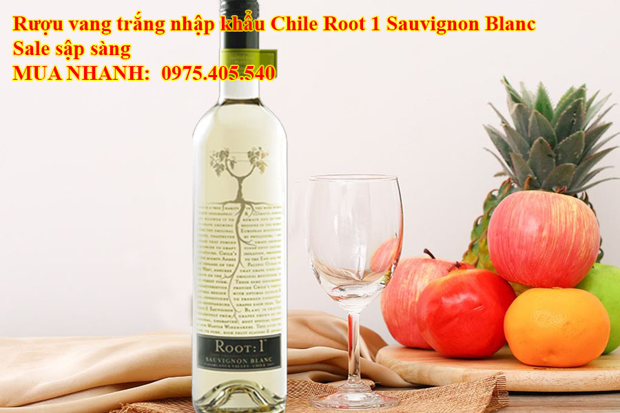 Rượu vang trắng nhập khẩu Chile Root 1 Sauvignon Blanc Sale sập sàng 