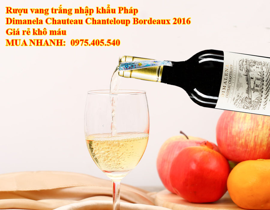 Rượu vang trắng nhập khẩu Pháp Dimanela Chauteau Chanteloup Bordeaux 2016 Giá rẻ khô máu 