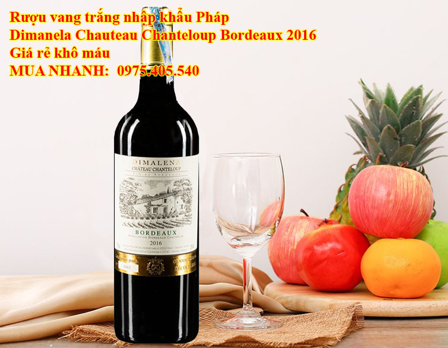 Rượu vang trắng nhập khẩu Pháp Dimanela Chauteau Chanteloup Bordeaux 2016 Giá rẻ khô máu 