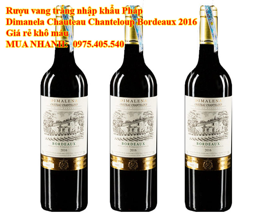 Rượu vang trắng nhập khẩu Pháp Dimanela Chauteau Chanteloup Bordeaux 2016 Giá rẻ khô máu 