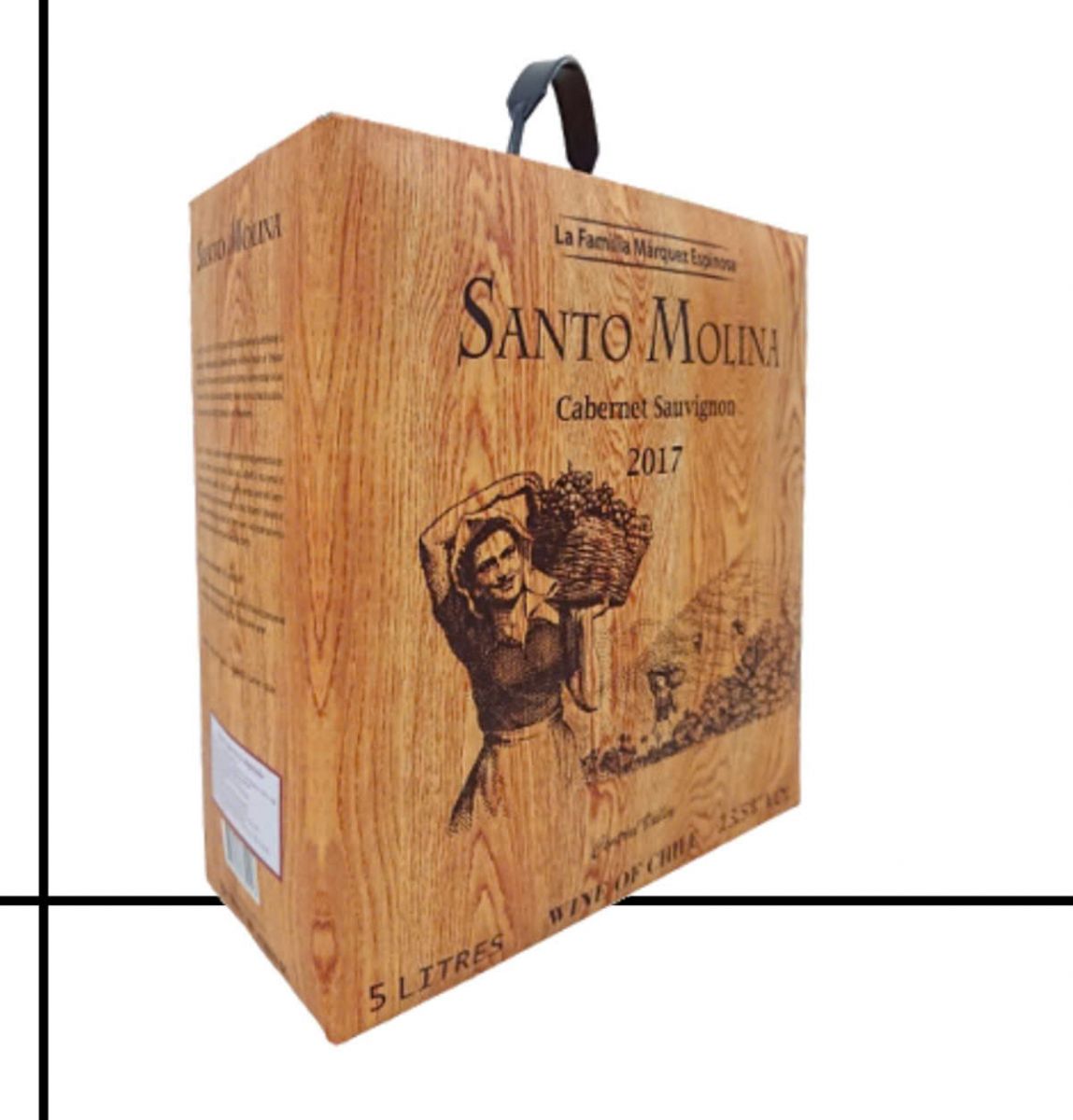 Rượu Vang Bịch Chile Santo Molina 3L