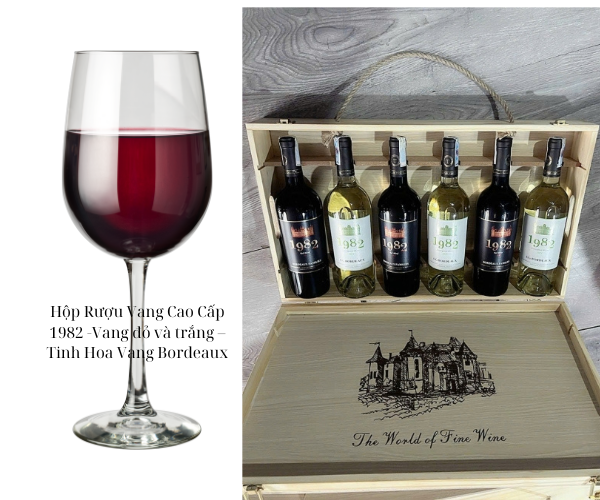 Hộp Rượu Vang Cao Cấp 1982 -Vang đỏ và trắng – Tinh Hoa Vang Bordeaux