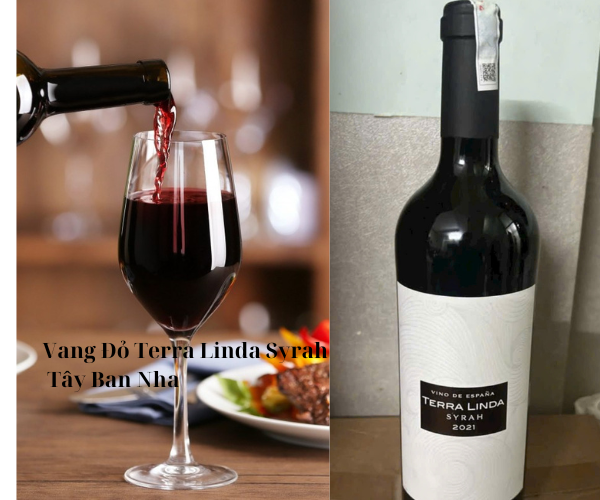 Vang Đỏ Terra Linda Syrah Tây Ban Nha