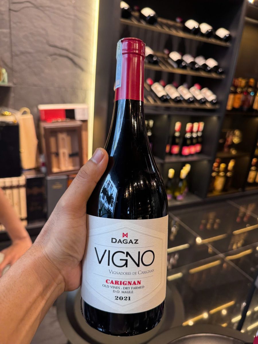 Rượu vang Dagaz Vigno Carignan 2021 - Vang đỏ 14,5 độ - Nhập khẩu Chile